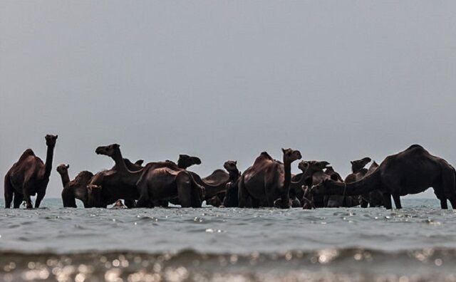 "سهیلی" قشم، در آستانه اعلام رسمی عنوان روستای برتر گردشگری جهان