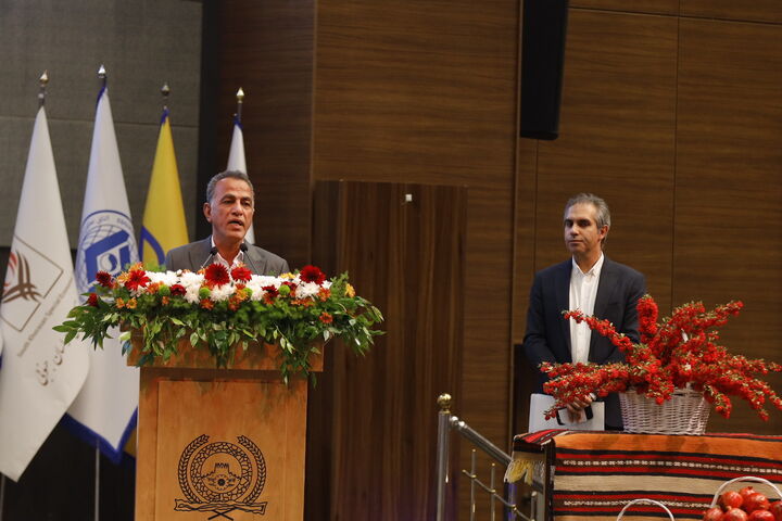 افزایش ۶۵ درصدی صادرات خراسان جنوبی به افغانستان قابل تحقق است