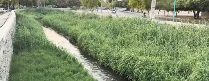 لایروبی و خاکبرداری خور گور سوزان بندرعباس توسط شرکت تامین و توسعه زیر ساخت خلیج فارس