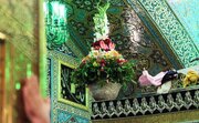 گل‌های ضریح امام رضا علیه السلام این طوری آماده می‌شود