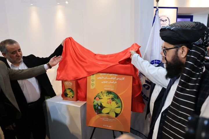 اطلس کاربردی گیاهان دارویی خراسان جنوبی رونمایی شد