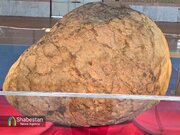 نمایش ۷۰ قطعه شهاب‌سنگ در گرگان؛ از بزرگ‌ترین شهاب‌سنگ ایران رونمایی شد