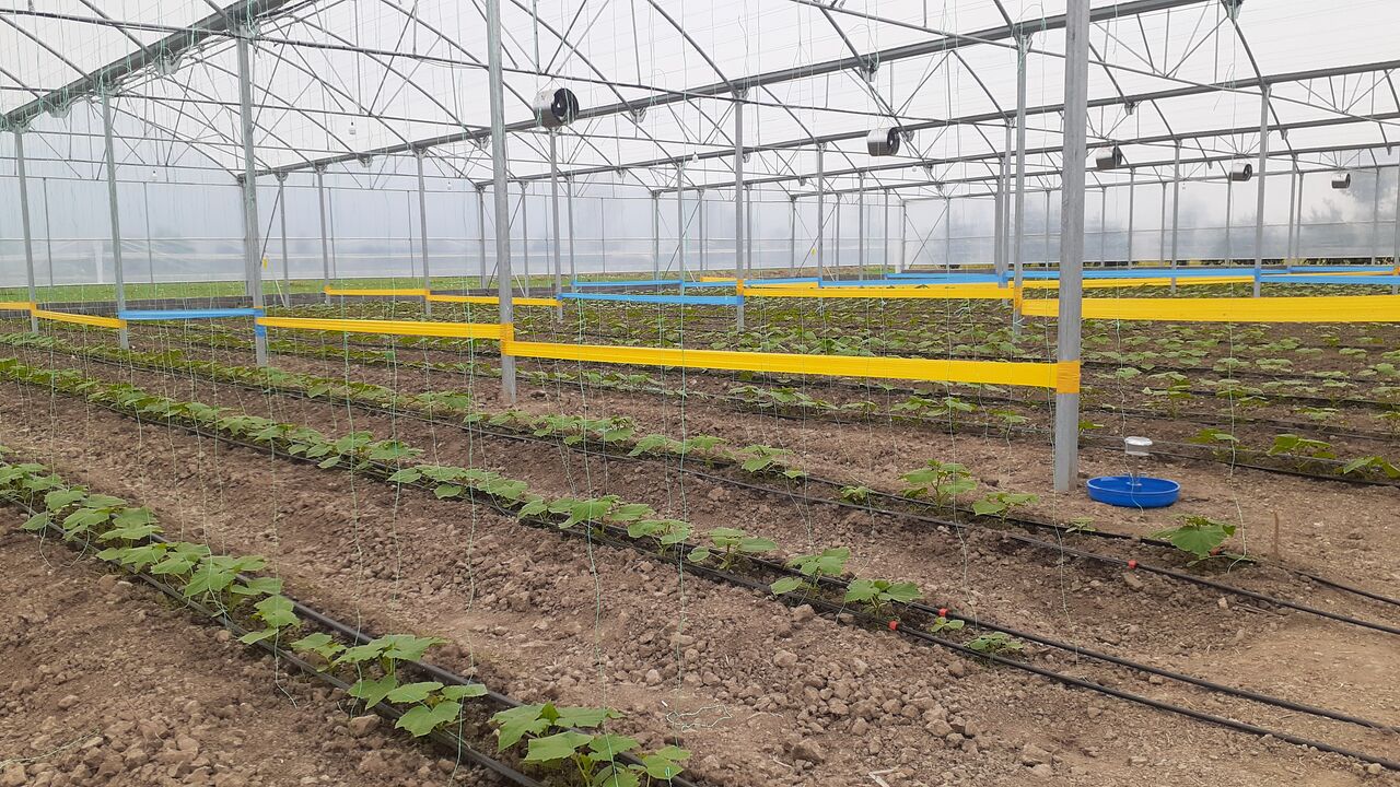 جهادکشاورزی پیشران تحقق منویات رهبری در بخش اقتصاد مقاومتی است