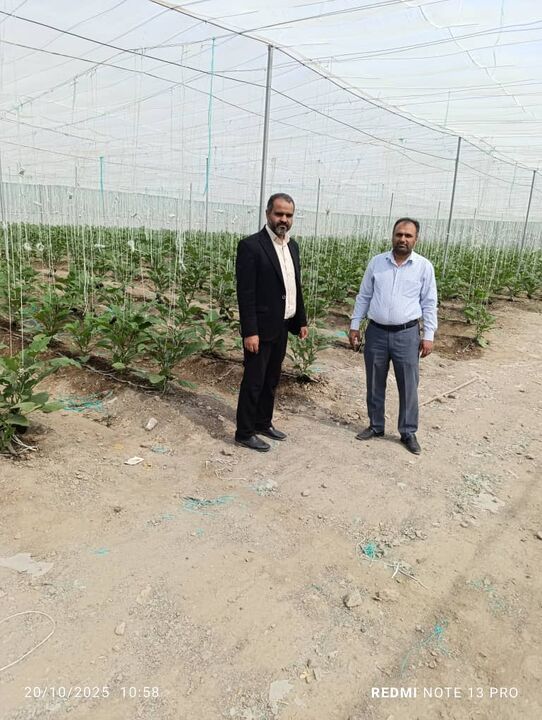 احداث گلخانه‌های «نت‌هاوس» در بخش جغین رودان سرعت گرفت