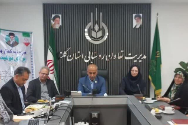 آغاز توانمندسازی زنان روستایی با همراهی مدیریت تعاون روستایی گلستان