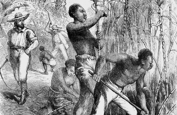 رد پای اسلام در تاریخ آفریقاییان آمریکایی: ایمان، مقاومت و هویت