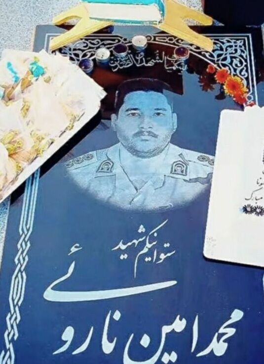 زندگی در سایه مأموریت‌های مرزی؛ روایت همسر شهید نارویی از تعهد و تواضع