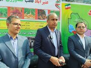 جشنواره خرمای کلوته فرصتی برای جذب سرمایه گذاران و تجار داخلی و خارجی