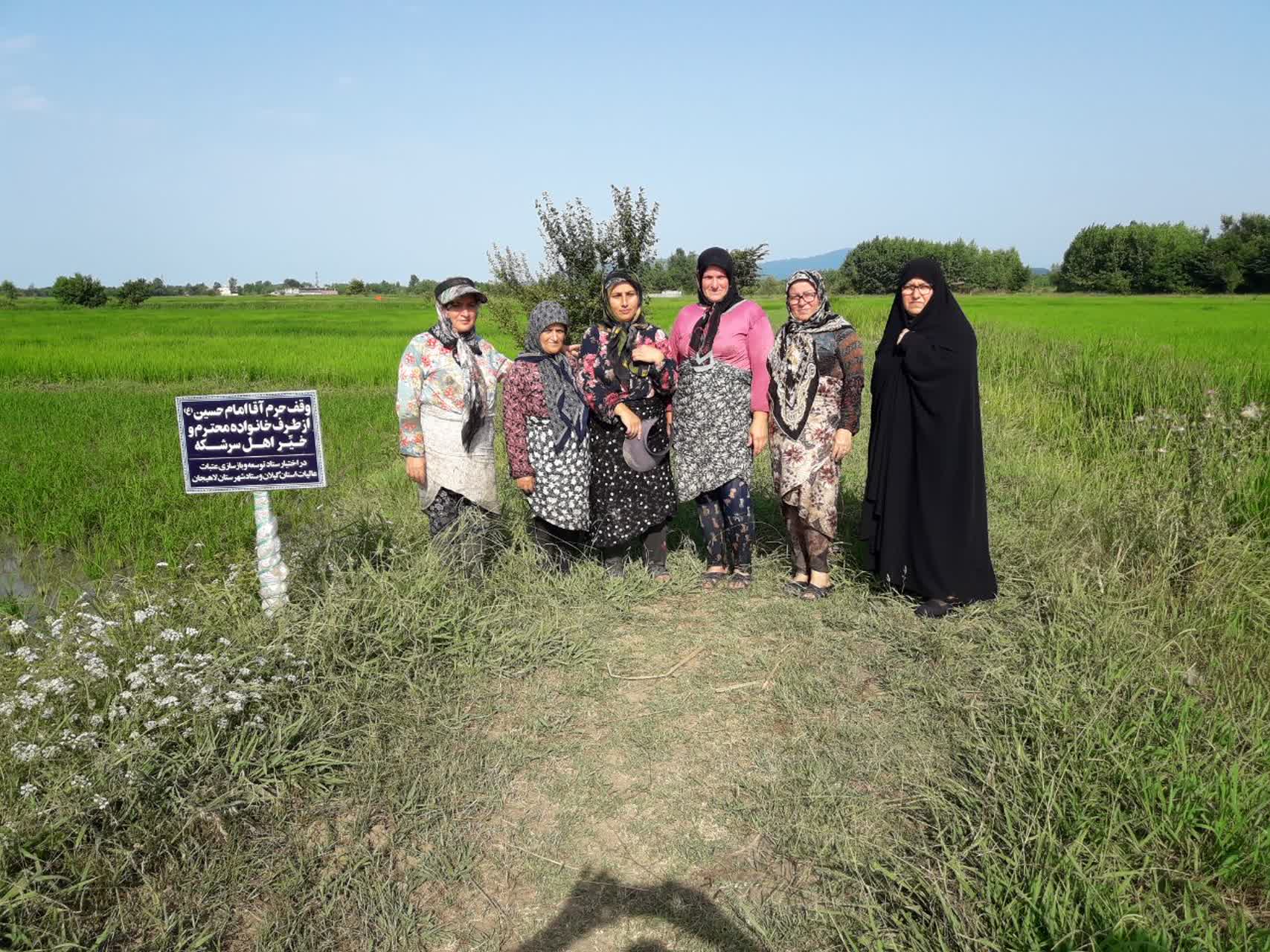 از شالیزار وقف‌شده تا صحن عقیله بنی‌هاشم(س)؛ پویش مردمی «قرار زینبی» در گیلان کلید می‌خورد