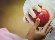 زینب (س)، بانویی که پرستاری را به مقام قدسی رساند