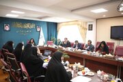 آغاز سلسله نشست‌های تخصصی دبیرخانه ستاد ملی زن و خانواده