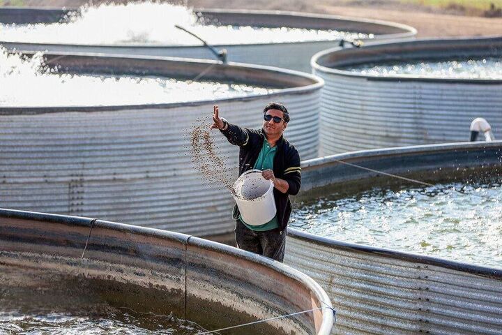 اجرای بیش از ۳۰ هزار طرح اشتغال‌زایی در بیش از ۴۰۰۰ منطقه محروم و نیمه‌محروم