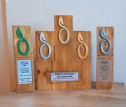 درخشش کارتونیست جهرمی در جشنواره بین‌المللی زیتون قبرس