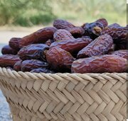 پیارم؛ شکلات طبیعی هرمزگان/حاجی آباد قطب تولید خرمای پیارم کشور