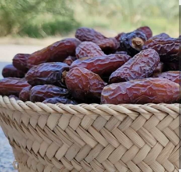 پیارم؛ شکلات طبیعی هرمزگان/حاجی آباد قطب تولید خرمای پیارم کشور