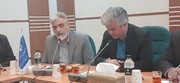 رشد ۱۳ درصدی تولید مرغ در خراسان جنوبی