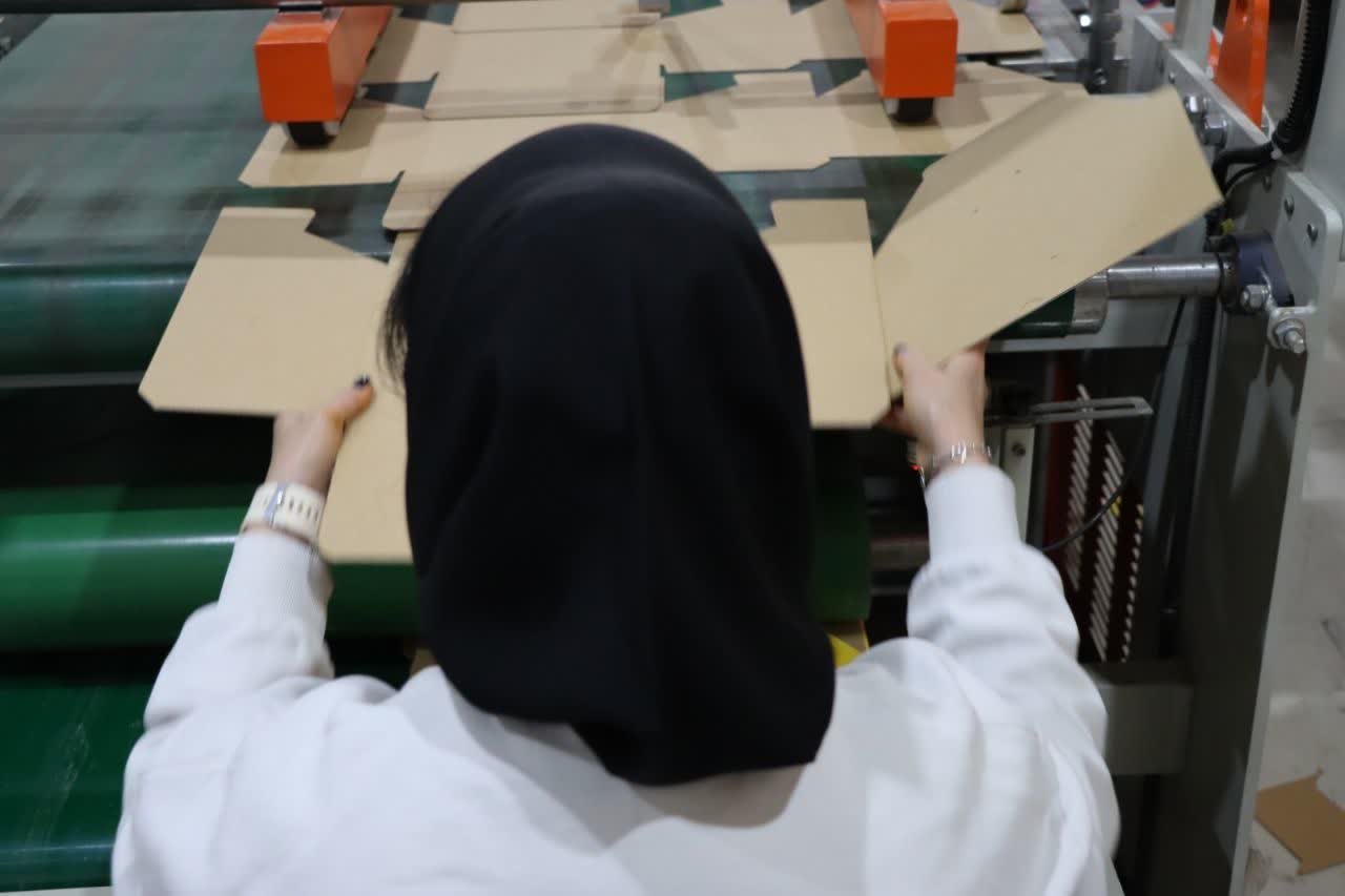 چاپ آذربایجان غربی هزار و ۹۵۰ شغل را تثبیت کرد/ احداث شهرک صنفی برای رفع پراکندگی