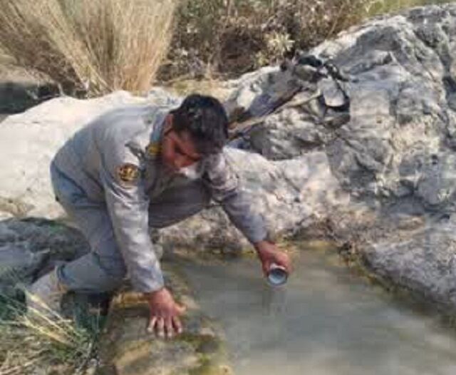 ضدعفونی آبشخورهای حیات وحش در رودان/پیشگیری از انتقال بیماری از دام‌های اهلی