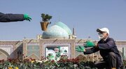 گل‌آرایی پاییزی حرم مطهر رضوی با کاشت ۷۰ هزار بوته گل رنگارنگ