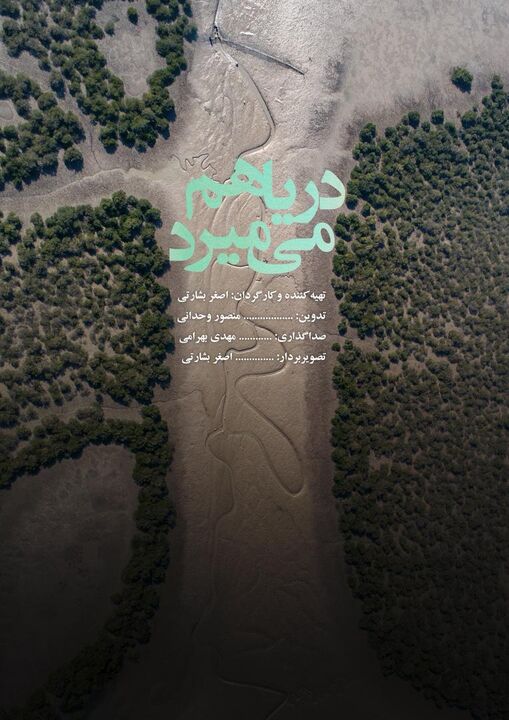 «دریا هم می‌میرد»؛ روایت سینمایی از جزر و مد در میراث طبیعی قشم