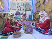 جشنواره زعفران قائنات