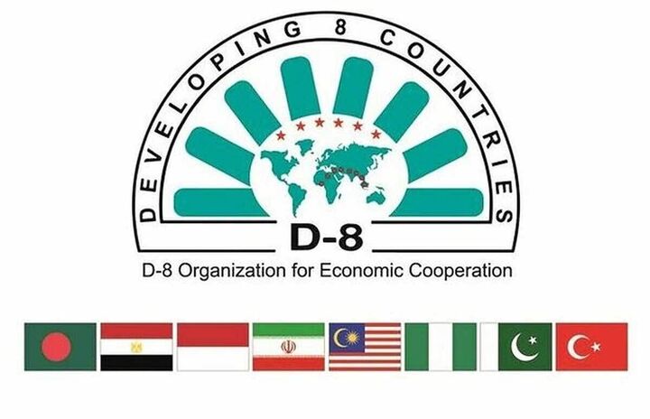 آغاز اجلاس وزرای بهداشت گروه 8-D در قاهره/ حضور هیات ایرانی به سرپرستی معاون وزیر بهداشت