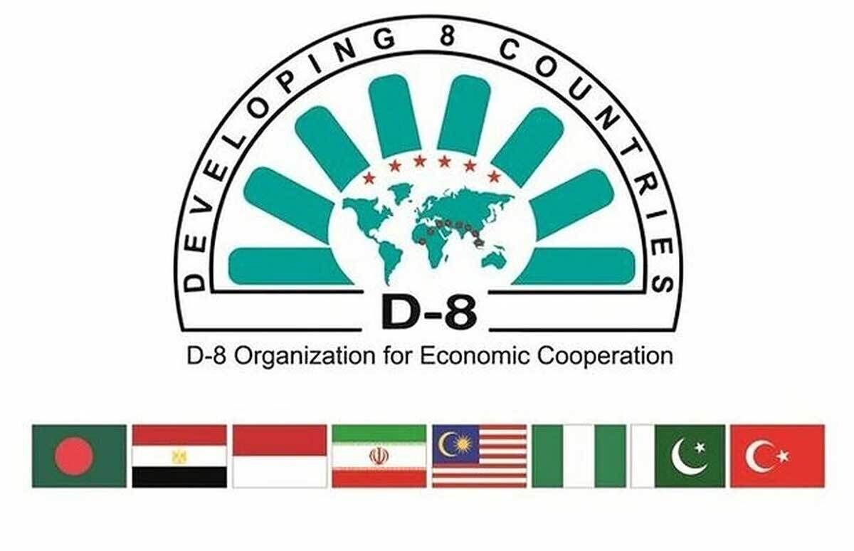 آغاز اجلاس وزرای بهداشت گروه 8-D در قاهره/ حضور هیات ایرانی به سرپرستی معاون وزیر بهداشت