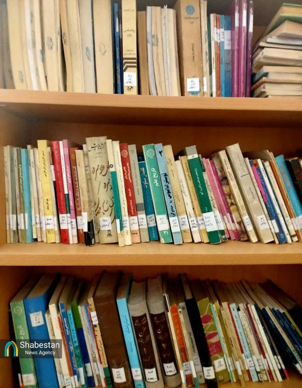کتابخانه شخصی بانو طاهره صفارزاده، میراثی فرهنگی در سیرجان که باید احیا شود