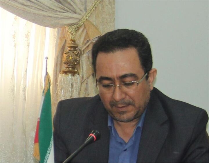 محسن شریفی مدیرکل دبیرخانه شورای فرهنگ عمومی شد