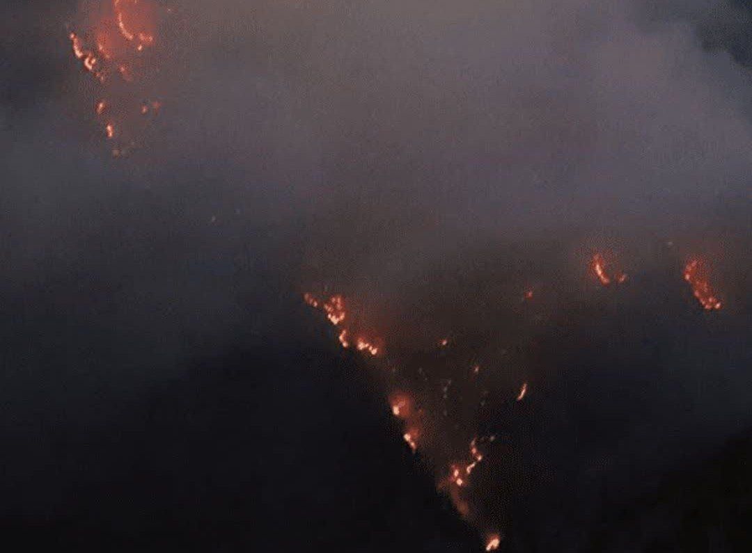 الیت اگر چه زخمی، اما استوار ایستاده است