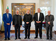 دیدار و رایزنی سیدعباس عراقچی با کمیسیون اقتصادی مجلس