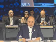 ضرورت گسترش همکاری‌های جهانی برای تامین امنیت غذایی