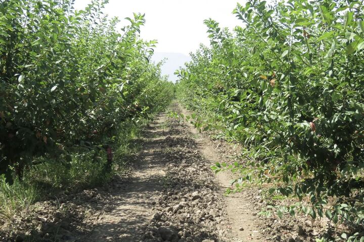 حمایت گسترده اوقاف گلستان از طرح‌های اقتصادی؛ ۲۳ موقوفه درآمدزا و جهش سرمایه‌گذاری در سال اخیر اجرا شد