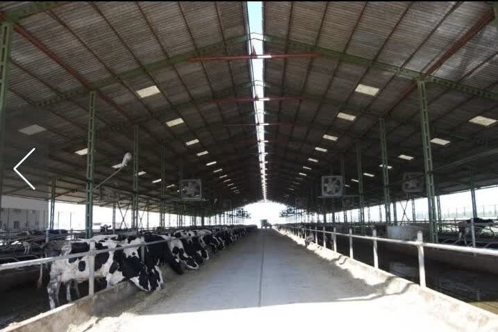 حمایت گسترده اوقاف گلستان از طرحهای اقتصادی؛ ۲۳ موقوفه درآمدزا و جهش سرمایهگذاری در سال اخیر اجرا شد