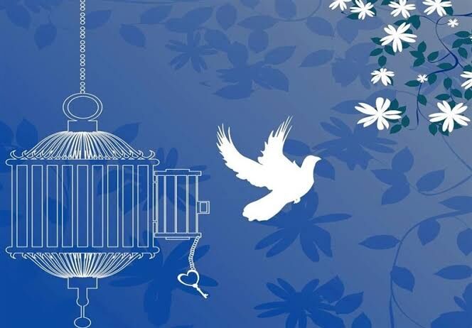 خیرات مادر ایلامی، چراغ آزادی دو زندانی غیرعمد شد