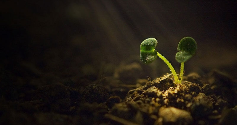 بردباری؛ الهیاتی که این روزها بیشتر از همیشه به آن نیاز داریم