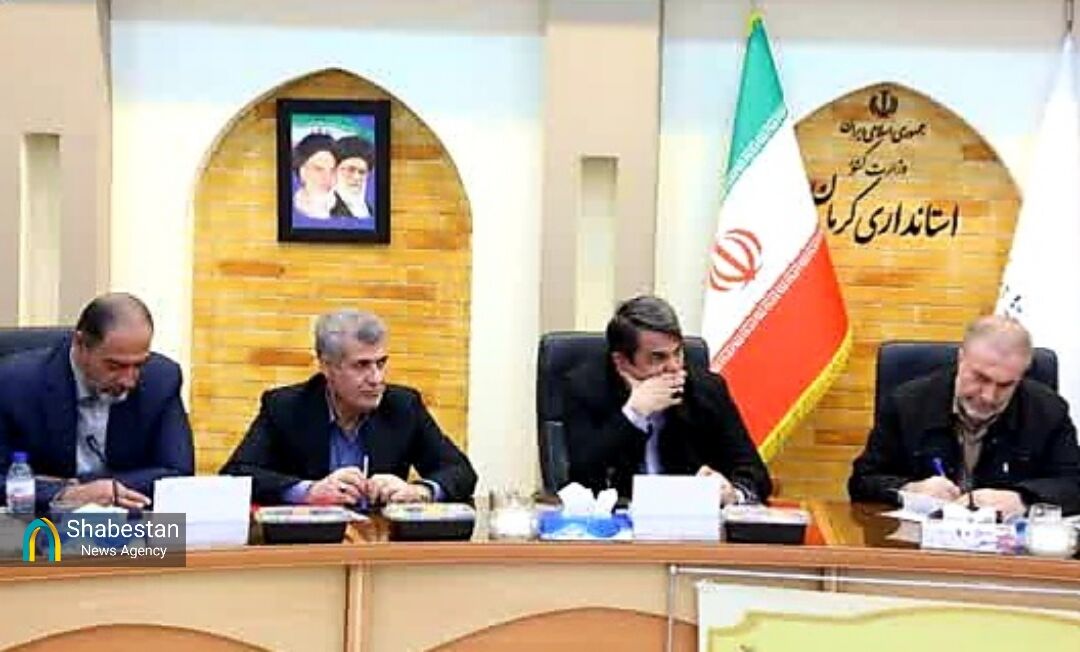 کشت خشخاش در دستور کار کشور نیست/ تشکیل ستادهای مردمی برای کنترل مصرف مواد مخدر