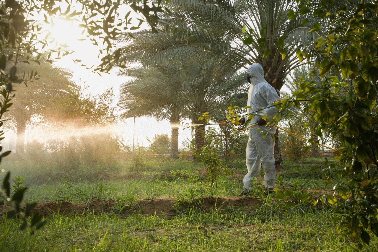 تداوم مراقبت از درختان کمربند سبز جنوبی به همت آستان قدس عباسی