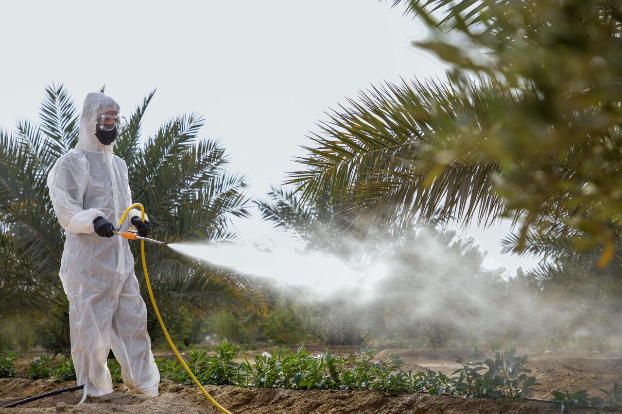تداوم مراقبت از درختان کمربند سبز جنوبی به همت آستان قدس عباسی