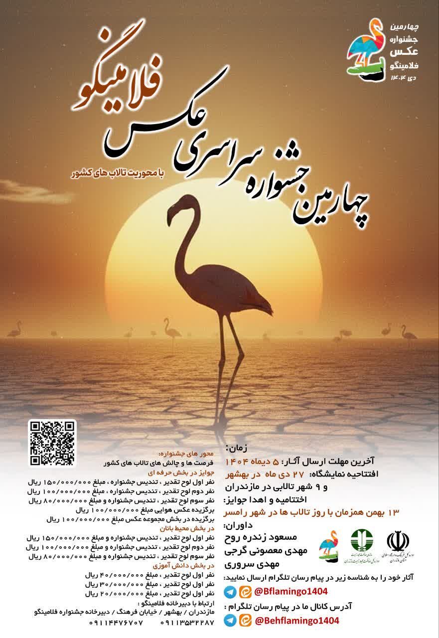 جشنواره عکس فلامینگو زمینه ساز پیوند هنر، فرهنگ و طبیعت