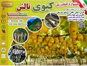 جشنواره کیوی در تالش برگزار می‌شود