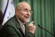 برگزاری انتخابات الکترونیکی افتخار نظام است/ضرورت دور شدن شوراها از موضوعات سیاسی