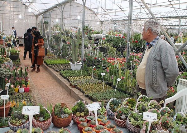 شور و هیجان فاطمی در کوچه و خیابان‌های نصف جهان