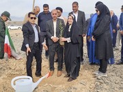 پویش درختکاری «در سایه مادر» در جیرفت