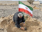 روایت یک روز سبز در سومین حرم اهل‌بیت (ع)؛ وقتی شهر برای آینده کاشت