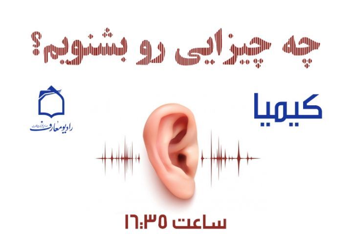 حقوق گوش در آیینه رساله حقوق امام سجاد(ع)