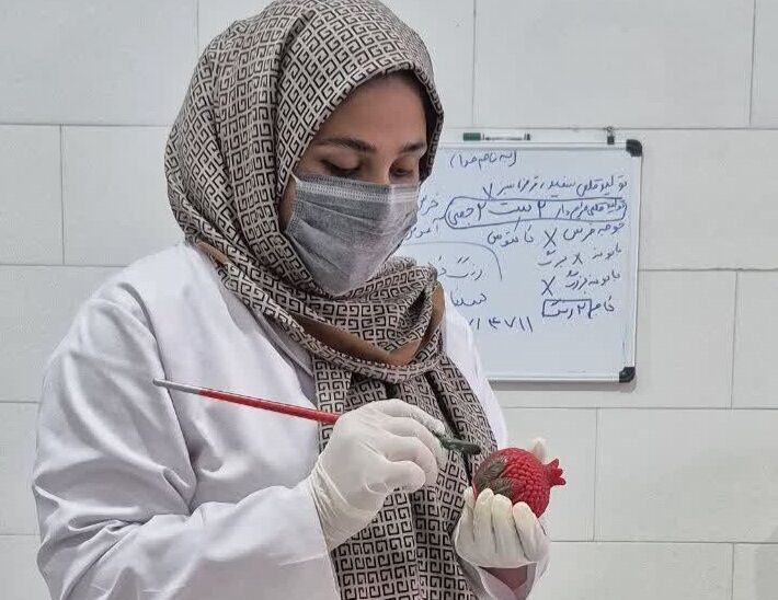 کارآفرینی که از فروش کتاب‌های دانشگاهی به رؤیای کارفرمایی رسید