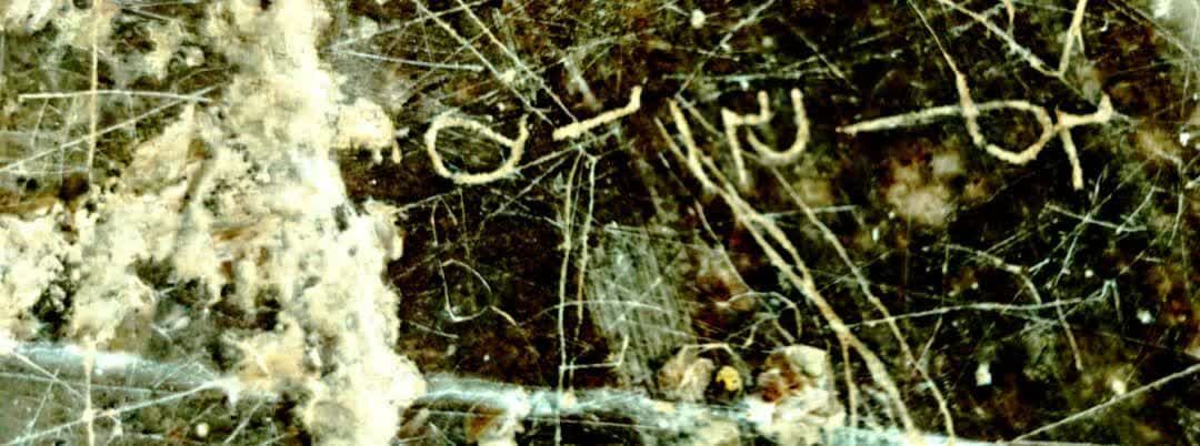 کشف کتیبه‌ای با محتوای «یکی از جشن‌های ساسانیان» در مرودشت