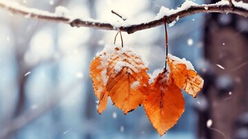 هشدار نارنجی «سرما» برای ۲۳ استان