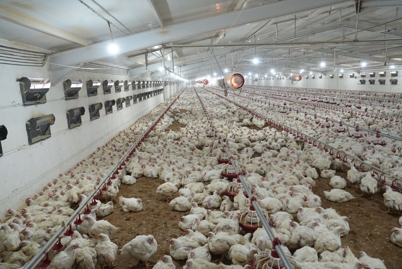 فرصتهای مرزی یکی از بزرگترین نعمتها برای توسعه و رونق تجارت استان است